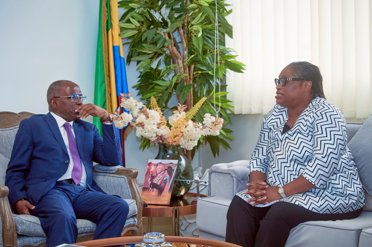 Échange avec une autorité gabonaise lors d'une audience officielle