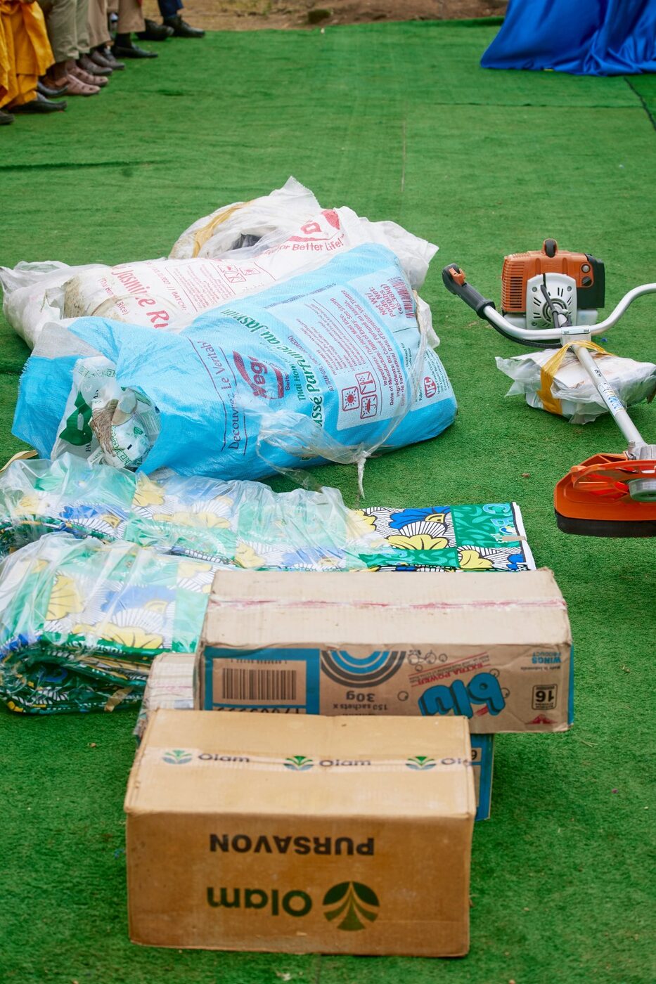 Cartons, sacs et débroussailleuse offerts